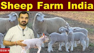 सरकारी सहायता भेड़ पालन  Sheep Farming  Sheep palan  bhed palan  Sheep Breeds in india  sheeps [upl. by Kenlay]