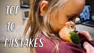 TOP 10 MISTAKES WITH CONURES Feat CGTeen [upl. by Gunn]