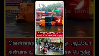 Fengal Cyclone News  Sathyamangalam Tourist Places  Sathyamangalam Elephant Video  shorts [upl. by Sully242]