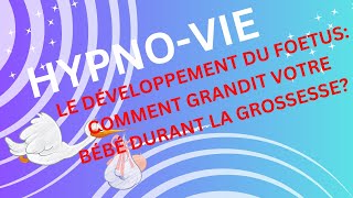 Le Développement du Fœtus – Comment Votre Bébé Grandit Durant La Grossesse [upl. by Sabian]