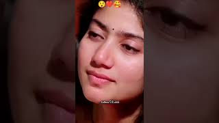 Pallavi status😯🥰saipallavi filmygyan news amazingfacts bollywood malayalam shortslovestatus [upl. by Hcone]