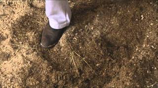 Hippodung an innovative bedding for horses [upl. by Annabel167]