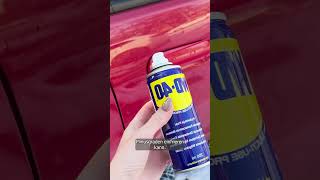 Ein bisschen WD40 im Winter spart dir morgens viel Stress [upl. by Normand172]