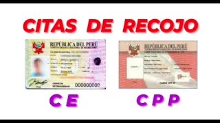 COMO PEDIR CITA DE RECOJO DE CPP Y CE [upl. by Ahsinnek477]