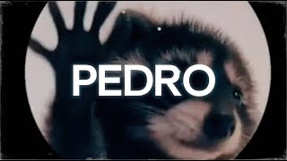 la canción de pedro  PEDRO  Raffaella Carrà Jaxomy Agatino Romero Remix  Letra [upl. by Wendi425]