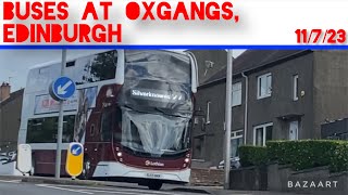 Buses At Oxgangs Edinburgh  Bus Vlog 11723 [upl. by Ahoufe]