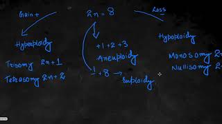 Chromosomal Abbreations Explained [upl. by Hpeosj]