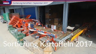 Sortierung Kartoffeln  September 2017 [upl. by Kentigerma625]