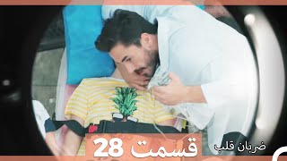 Zarabane Ghalb  ضربان قلب قسمت 28 [upl. by Attelra]