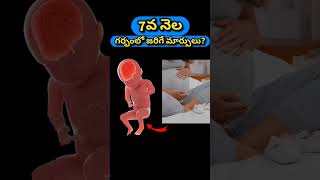 7వ నెల గర్భంలో జరిగే మార్పులు  7 months pregnancy and baby growth [upl. by Irallih]