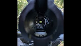 How to Boresight an AR Style Rifle [upl. by Dniren]