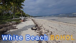 White Beach on a Saturday Bohol [upl. by Ellenid]