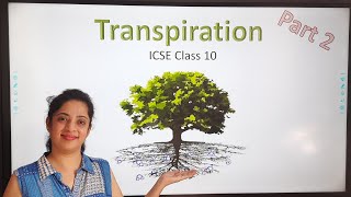 Transpiration Part 2  ICSE Class 10 Biology [upl. by Mateusz387]