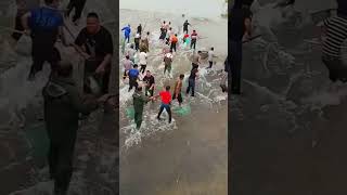 Amazing Fish catching a new video fishingvideo [upl. by Aidahs]