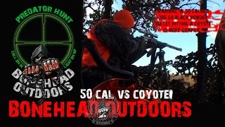 Black powder  muzzleloader coyote predator hunt Bonehead Outdoors [upl. by Erdua124]