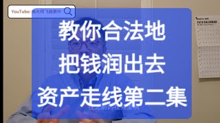 合法地将财产润到境外？资金走线第二集 移民 财产转移 跨境 外汇管理局 外管局 美元 蚂蚁搬家 [upl. by Maye]