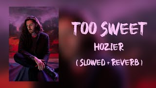 Hozier  Too Sweet  Slowed  Reverb   i think ill take my whiskey neat [upl. by Dave177]