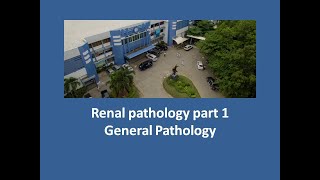 Renal pathology part 1 [upl. by Tlihcox]