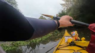 Pudsey explores Upper Hamble [upl. by Atnuahc]