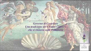 La primavera porta con sé la nuova annata del Governo di Castellare [upl. by Tankoos849]