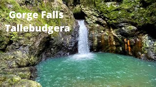 Gorge Falls  Tallebudgera Valley  Amazing Waterfall and Swimming hole on the Gold Coast [upl. by Arnst]