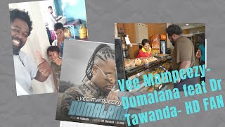 Vee Mampeezy Dumalana feat Dr Tawanda OfficialCalculation HD FAN VIDEO [upl. by Eeuqram]