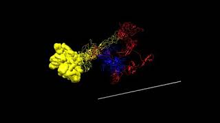 Wedge assembly Bacteriophage T4 [upl. by Reppep]