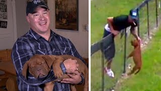 Mechanic Returns Stolen Mastiff Dog to Texas Owner [upl. by Atsylac]