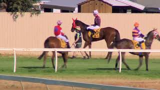 Kalgoorlie Cup Day October 7th 2023 Race 7 [upl. by Leirua]