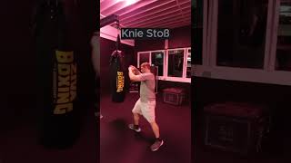 Knie Stoß kampfsporttraining motivation sports martialarts mma [upl. by Kathrine563]