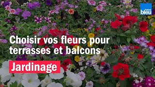 JARDINAGE  comment choisir ses fleurs pour vos terrasses et balcons [upl. by Sartin330]