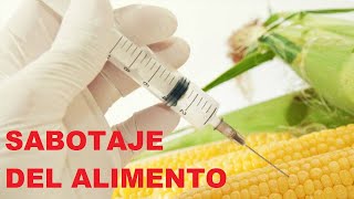 Plantas quotTransgénicasquot Proceso para desmejorar y quitar nutrientes Sabotaje del alimento [upl. by Anerak758]