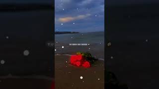 Caller tune baby song status🌝💫Slowed Reverbed whatsapp status🖤shortsstatuslovestatu remix [upl. by Zul]