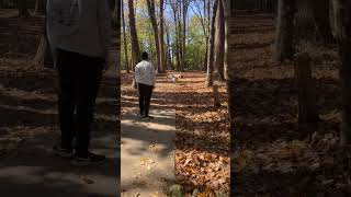 Billy Goat on the loose discgolf goat zoomies pennsylvania [upl. by Asilef501]