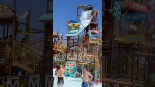 Cooks Cove Wild Rivers Water Park shorts waterpark cookscove wildrivers [upl. by Nnylsia]