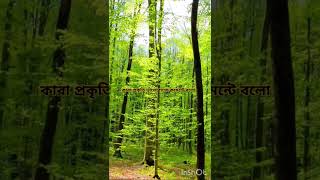 Milne hai mughse aayi song shorts youtubeshorts nature [upl. by Ennairoc]