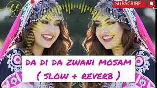 DA DI DA ZWANI MOSAM  slow reverb  viralvideo ytstudio youtube [upl. by Amando]