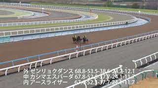 2024／2／22 アースライザー・カシマエスパーダ・ゼンリョクダンス [upl. by Pedro]