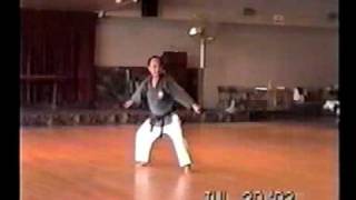 Gakiya Yoshiaki quotShimbaru No Saiquot Matayoshi Kobudo NY 2002 [upl. by Eiboh]