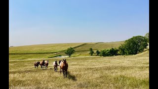 Newsam Ranch Estates for Sale in Murdo South Dakota [upl. by Laktasic624]