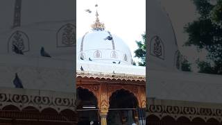 Ajmer mein har rang Ke deewane milenge 💫🕌😱 shorts islamic video viral ajmersharif khwaja [upl. by Ateerys]