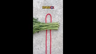 Bundled vegetables funnyhumor ruralcomedy happy momentrelaxing moment [upl. by Resee677]