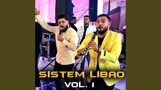 Sistem Libao Vol 1 [upl. by Haianeb954]