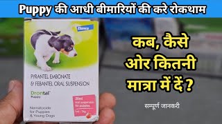 Drontal Puppy Dewormer SuspensionDeworming  Best Deworming for Puppy amp Adult Dog [upl. by Lahsram]