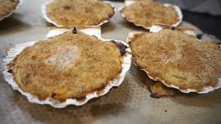 Coquilles de barbes de SaintJacques à la bretonne  Recette AntiGaspi [upl. by Hokanson362]