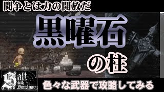 【ソルトアンドサンクチュアリ】色々な武器で攻略 黒曜石の柱～闘争とは力の開放だ編～ [upl. by Ytsenoh]