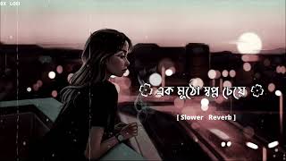 এক মুঠো স্বপ্ন চেয়ে হাত বাড়িয়েছিলাম   Slower Reverb  Bangla Sad Lofi X song 🥀🥀 [upl. by Nilyram]