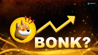 What’s Going on with the BONK Meme Coin  DRIPP News  2024 [upl. by Rambert582]