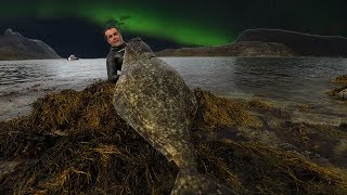 Spearfishing Giant Atlantic HALIBUT in Norway [upl. by Lyndel853]