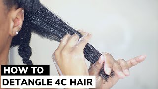 HOW TO DETANGLE 4C HAIR with ZERO breakage amp KEEP your sanity  10 Tips [upl. by Michell496]